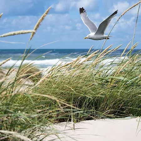 Duplex In By The Seawall *